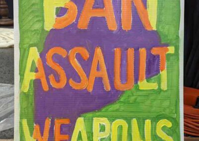 sign with Maine shape and Ban Assault Weapons